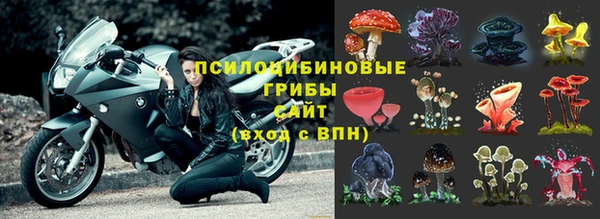 меф Алексин