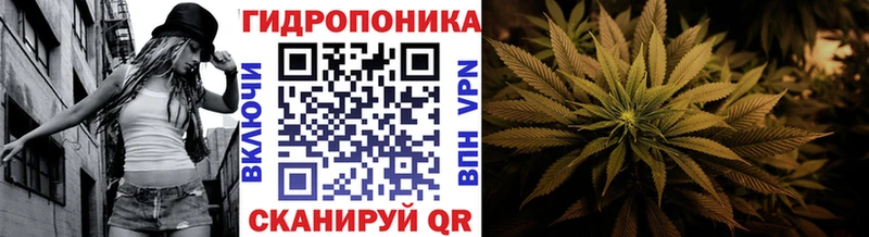 Бошки Шишки VHQ  Ува 